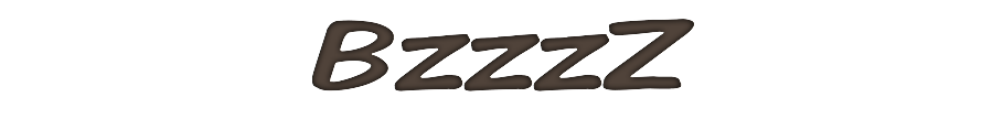 BzzzZ